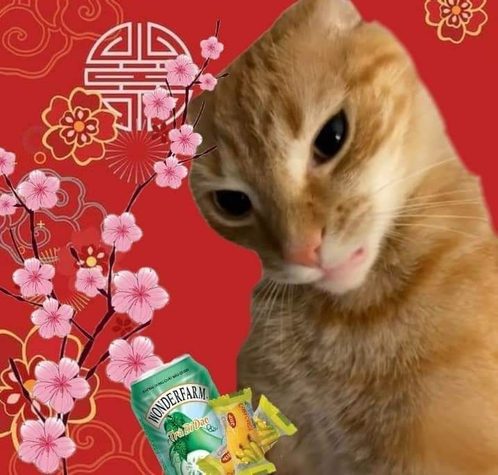 Tu Tu